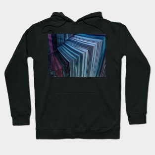 Fractals art...2 and maybe some books... Hoodie